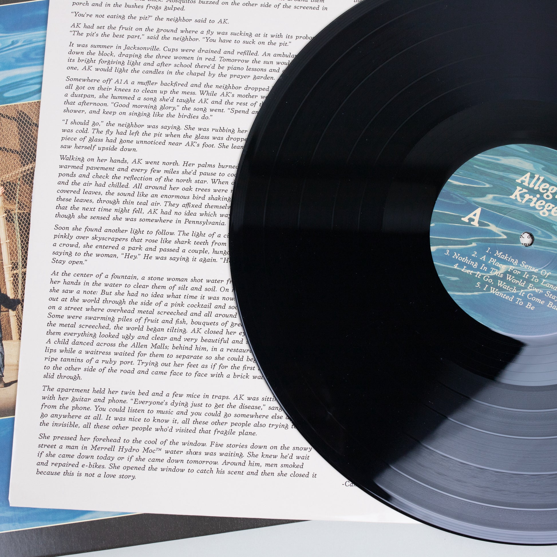 Allegra Krieger - I Keep My Feet on the Fragile Plane