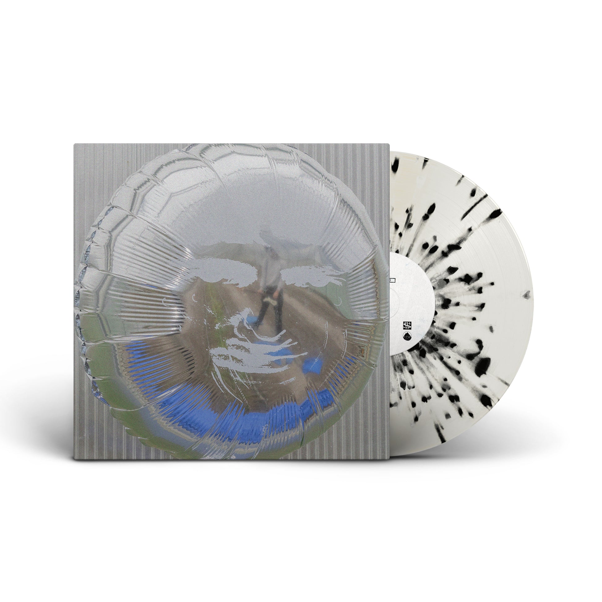 Dari Bay - Surprise Wish