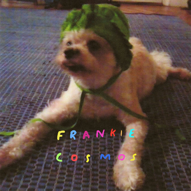 Frankie Cosmos - Zentropy